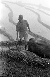 rice-fields-gurung-village-nepal-circa-1973-74_4428293072_o.jpg