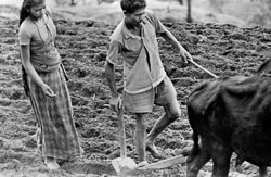 rice-fields-gurung-village-nepal-circa-1973-74_4428298820_o.jpg