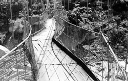 suspension-bridge-nepal-circa-1973-74_4298952443_o.jpg