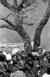 tij-womens-festival-nepal-circa-1973-74_4429413267_o.jpg