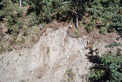 TB_CS00469.jpg
