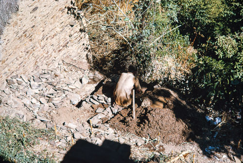 TB_CS00492.jpg