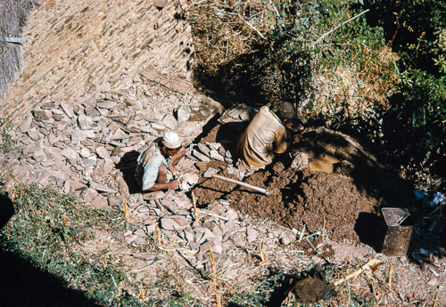 TB_CS00493.jpg