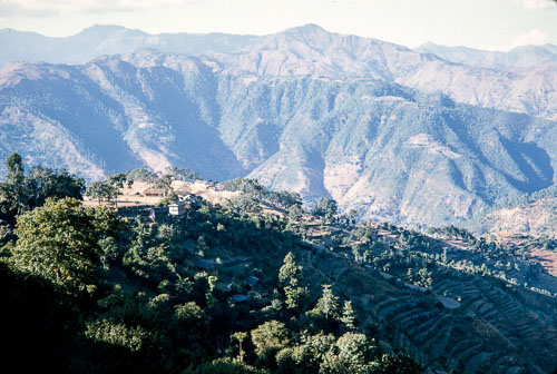 TB_CS00506.jpg