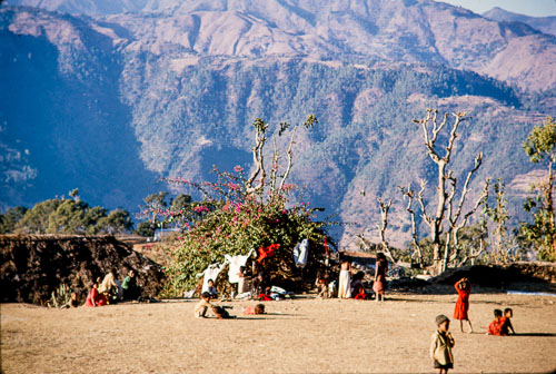 TB_CS00529.jpg