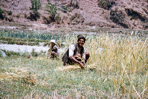 TB_CS00534.jpg