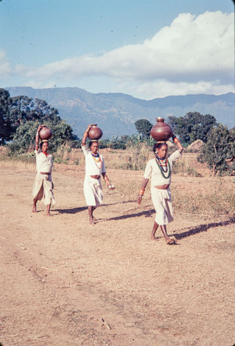 TB_CS00547.jpg
