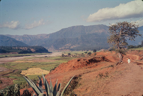 TB_CS00548.jpg