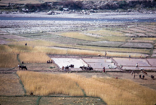 TB_CS00588.jpg