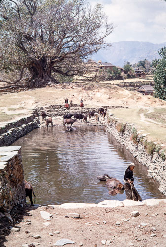 TB_CS00594.jpg