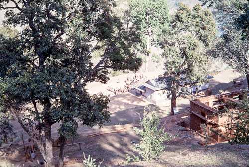 TB_CS00604.jpg