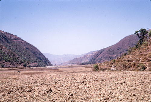 TB_CS00605.jpg