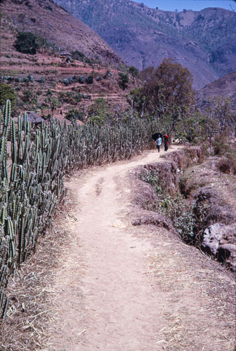 TB_CS00606.jpg