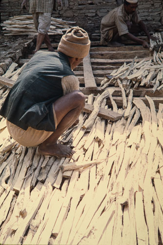 TB_CS00664.jpg