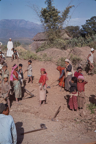 TB_CS00691.jpg