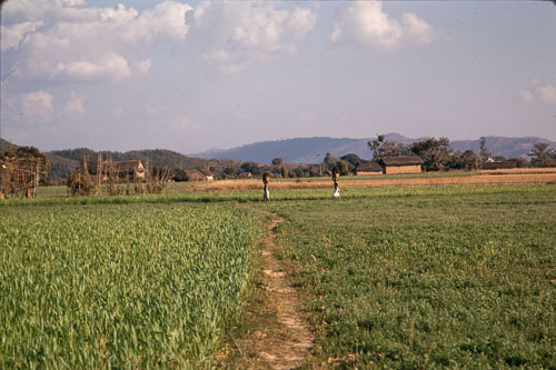 TB_CS00717.jpg