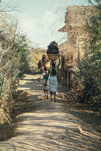 TB_CS00718.jpg