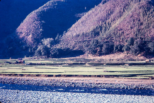 TB_CS00749.jpg