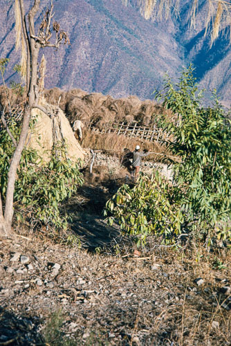 TB_CS00773.jpg