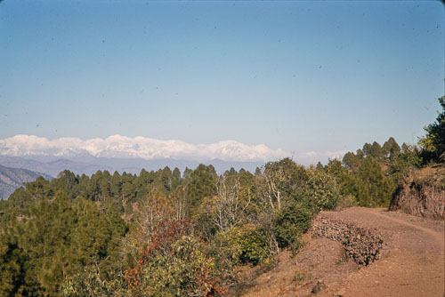 TB_CS00786.jpg