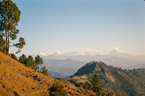 TB_CS00787.jpg