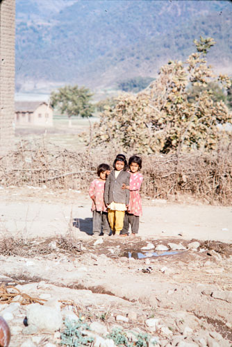 TB_CS00864.jpg TB_CS00864.jpg