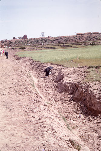 TB_CS00907.jpg TB_CS00907.jpg