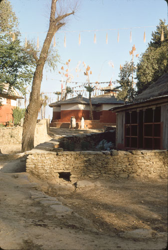 TB_FB0043.jpg TB_FB0043.jpg