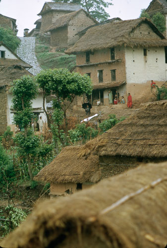 TB_FB0069.jpg TB_FB0069.jpg