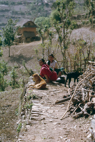 TB_FB0082.jpg TB_FB0082.jpg
