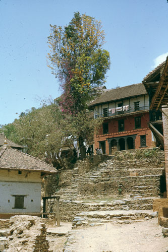 TB_FB0087.jpg TB_FB0087.jpg