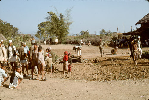 TB_FB0116.jpg TB_FB0116.jpg