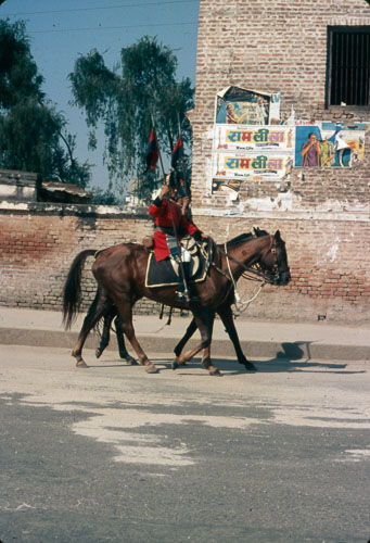 TB_FB0190.jpg