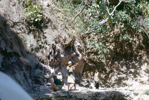 TB_FB0193.jpg