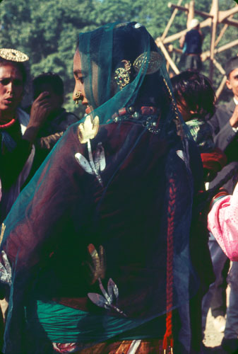 TB_FB0207.jpg