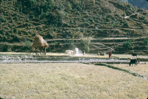 TB_FB0227.jpg
