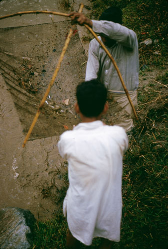 TB_FB0258.jpg TB_FB0258.jpg