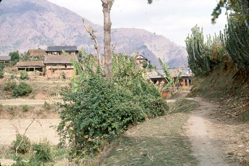 TB_FB0374.jpg TB_FB0374.jpg