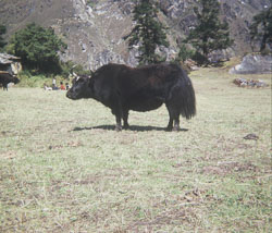 VC0048.jpg