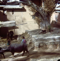 VR_CS000038.jpg VR_CS000038.jpg