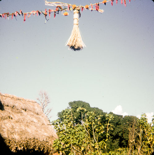 VM_FB000161.jpg VM_FB000161.jpg