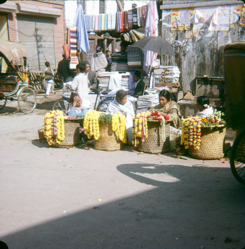 VM_FB000261.jpg