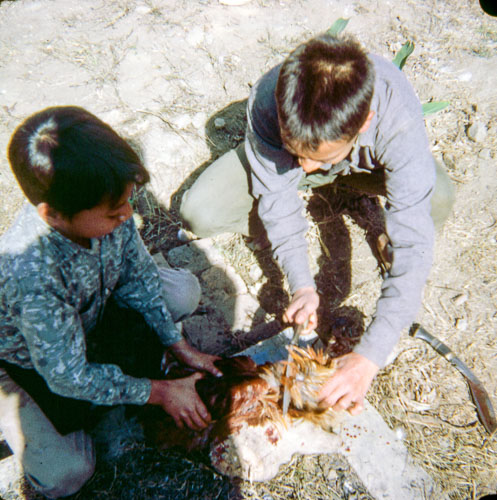 VM_FB000267.jpg