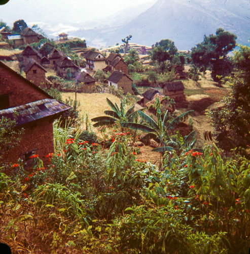 VM_FB000282.jpg