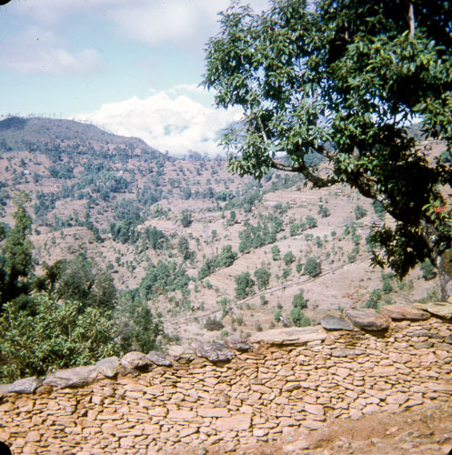 VM_FB000284.jpg