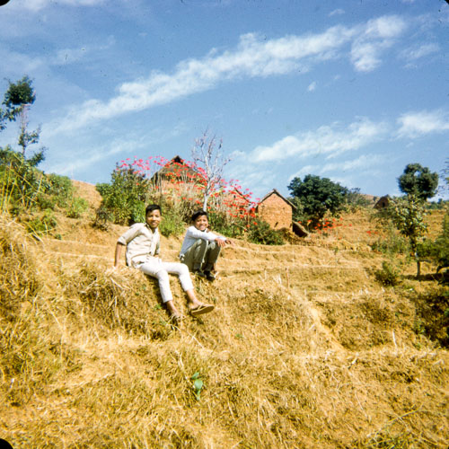 VM_FB000288.jpg