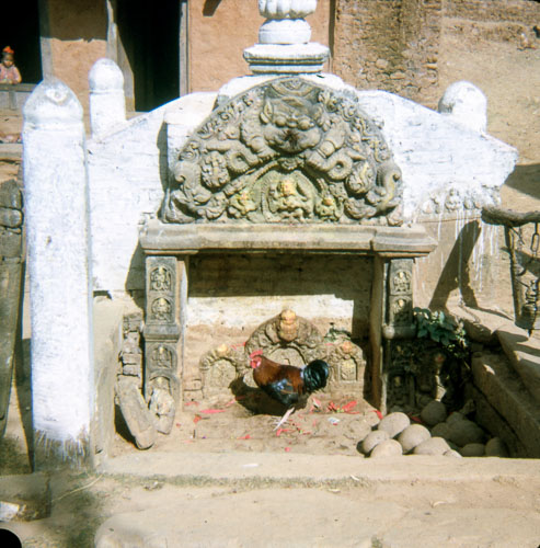 VM_FB000297.jpg