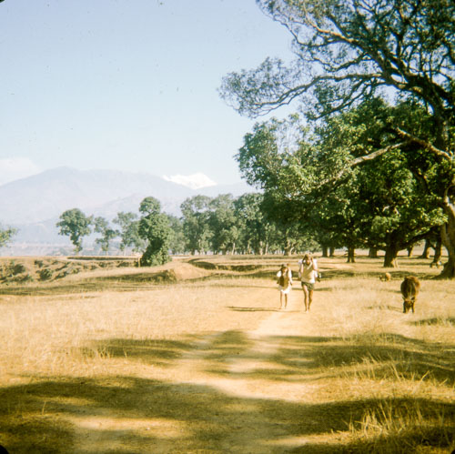 VM_FB000302.jpg