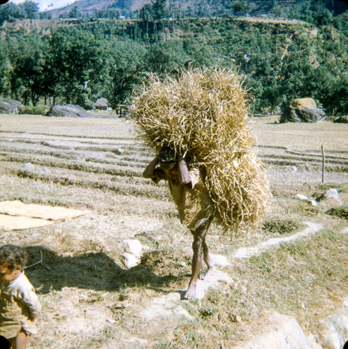 VM_FB000312.jpg