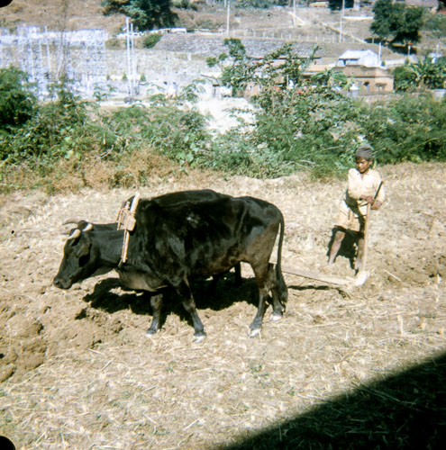 VM_FB000313.jpg